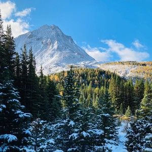 Meet your Posher, Dave